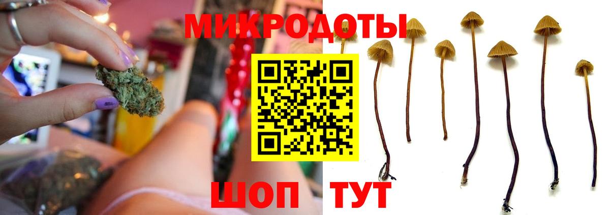 Алатырь  Псилоцибиновые грибы мухоморы  Вход с VPN  наркошоп  Галлюциногенные грибы GOLDEN TEACHER 